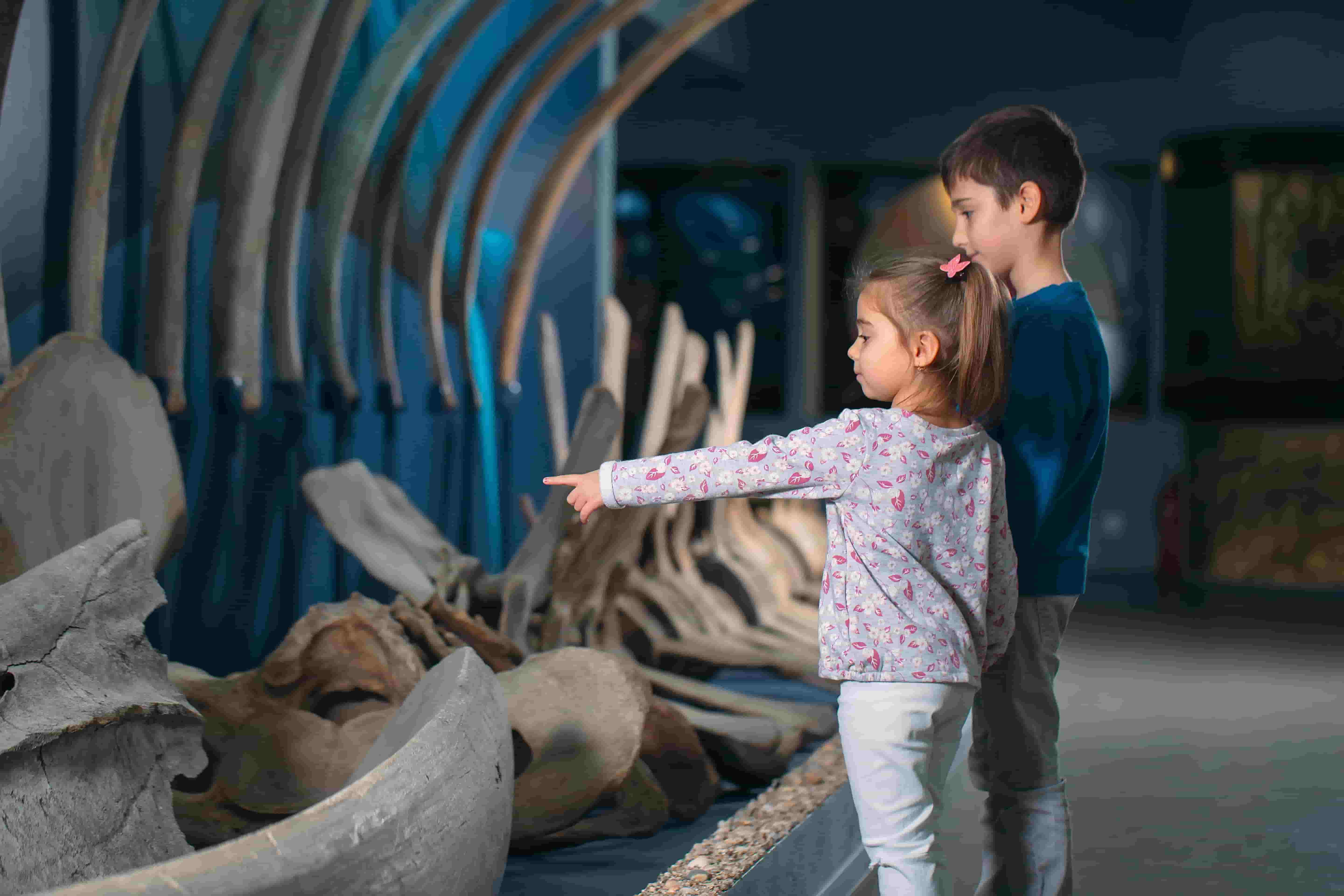 Image of kids at an exhibition